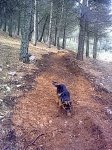 19022011628.jpg