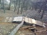19022011624.jpg