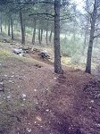 19022011634.jpg