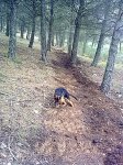 19022011630.jpg