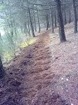19022011631.jpg