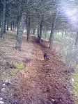 19022011629.jpg