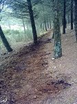 19022011632.jpg