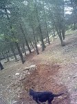 19022011627.jpg
