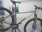 277928tkmullins017xc.jpg