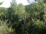 DSC03704.JPG