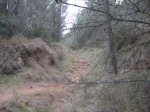 DSC03710.JPG