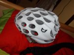 IMGP0540.JPG
