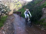 IMG_0187_COPITO_1.jpg