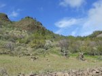 DSCN0107.jpg