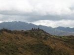 IMG_9887.JPG