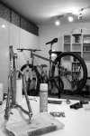 Moots CostatOK.jpg