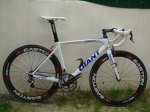 Giant_Rabobank@KAIRO.JPG