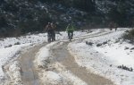 P2201233 - foro.JPG