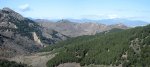 Pan.8 Red..JPG