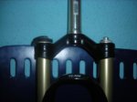 DSCN5763.jpg