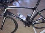 madone1.jpg