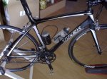 madone3.jpg