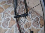Imagen 00505.jpg