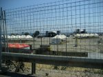 IMG_0453.jpg