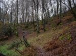 DSC04528.JPG