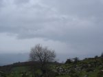 DSC04541.JPG