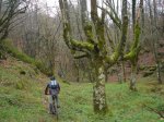 DSC04545.JPG