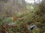 DSC04549.JPG