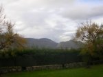 DSCN3215.jpg