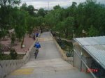 m_DSC01287.JPG