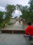 m_DSC01294.JPG