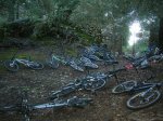 DSCN9231.jpg