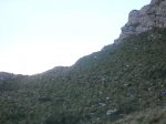 DSCN9239.jpg