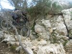 DSCN9253.jpg