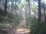 5nov2006 026.jpg
