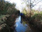 Naranco-8-12-06-006.jpg