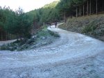 DSC01730 (Medium).JPG