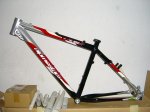 cuadro alpinestars 001.jpg