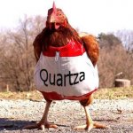 gallina.jpg