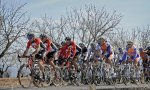 bettiniphoto_0070518_1_full_600.jpg