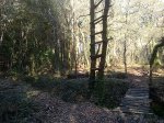 23022011087.jpg