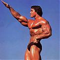 arnold 6.jpg