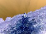 16122010910.jpg