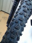 IMG_20110224_210432.jpg