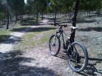 IMG00149-20110223-1331.jpg