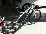NINER 004.jpg