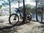 Copia de IMG038.jpg