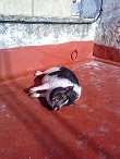 DSC00225.JPG