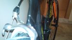 DSC00442.jpg