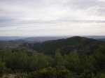 P1013341.JPG